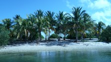 Enlarge photo 25