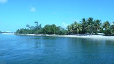 Enlarge photo 31