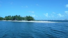 Enlarge photo 33