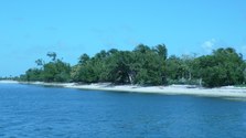 Enlarge photo 35
