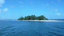 Enlarge photo 36