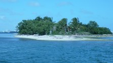 Enlarge photo 37