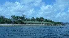 Enlarge photo 39
