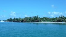 Enlarge photo 57
