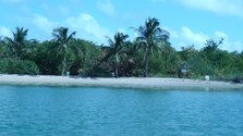 Enlarge photo 58