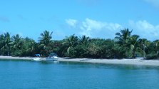 Enlarge photo 59