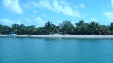 Enlarge photo 61