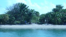 Enlarge photo 62