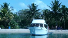 Enlarge photo 63
