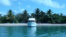 Enlarge photo 64