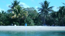 Enlarge photo 65