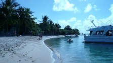 Enlarge photo 71
