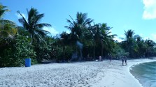 Enlarge photo 72