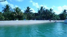 Enlarge photo 73