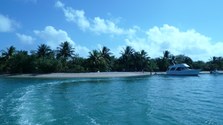 Enlarge photo 74