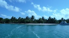 Enlarge photo 75