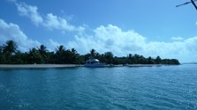 Enlarge photo 76