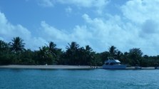 Enlarge photo 77