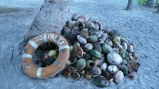 Enlarge photo 24