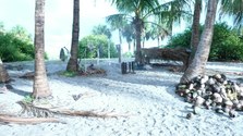 Enlarge photo 84