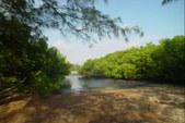 Enlarge photo 26