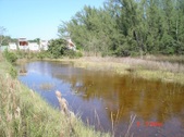 Enlarge photo 73