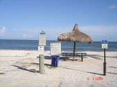 Enlarge photo 76