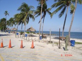 Enlarge photo 77