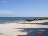Enlarge photo 78