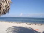 Enlarge photo 79