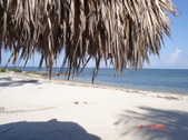 Enlarge photo 80