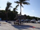 Enlarge photo 81