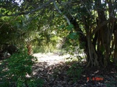 Enlarge photo 85
