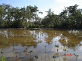 Enlarge photo 87