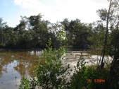 Enlarge photo 88