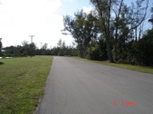 Enlarge photo 90