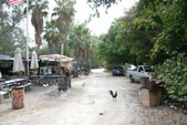 Enlarge photo 38