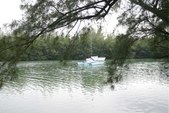 Enlarge photo 48