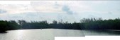 Enlarge photo 56