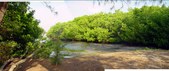 Enlarge photo 60