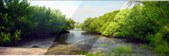 Enlarge photo 59