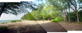 Enlarge photo 61