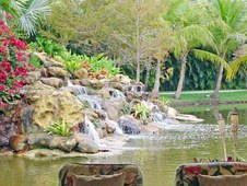 Enlarge photo 50