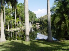 Enlarge photo 86