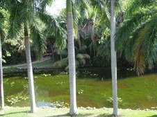 Enlarge photo 80