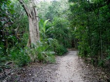 Enlarge photo 81