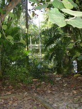 Enlarge photo 82