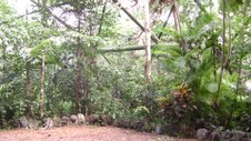 Enlarge photo 26