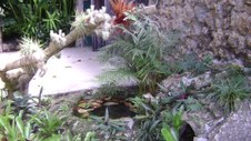 Enlarge photo 29