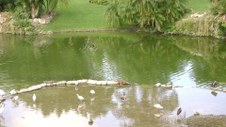 Enlarge photo 33